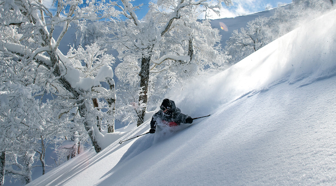 小樽・きたしりべし スキー＆アドベンチャーセンター 公式サイト