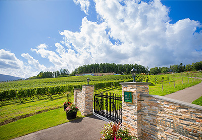 Niki Hills Winery 