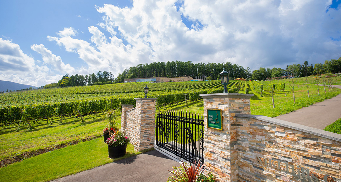 Niki Hills Winery